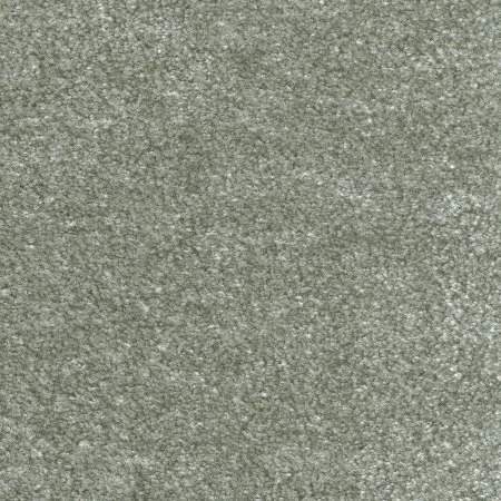 Ковровое покрытие AW Euphoria 28 - (5м) в Орске