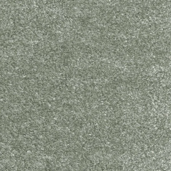 Ковровое покрытие AW Euphoria 28 - (5м) в Орске