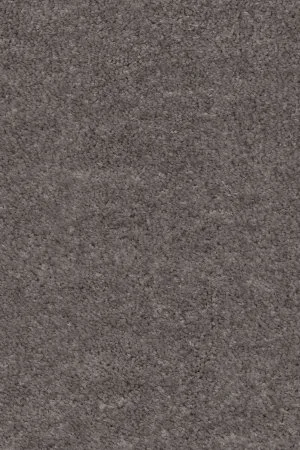 Ковровое покрытие AW Euphoria 45 - (5м) в Орске