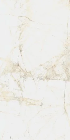 Керамогранит Coliseum Канова Уайт 60х120 (Натуральный и Реттифицированный) в Орске