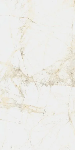 Керамогранит Coliseum Канова Уайт 60х120 (Натуральный и Реттифицированный) в Орске