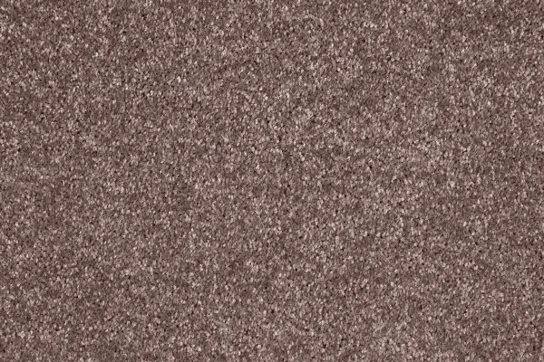 Ковровое покрытие AW Gala 60 - (5м) в Орске